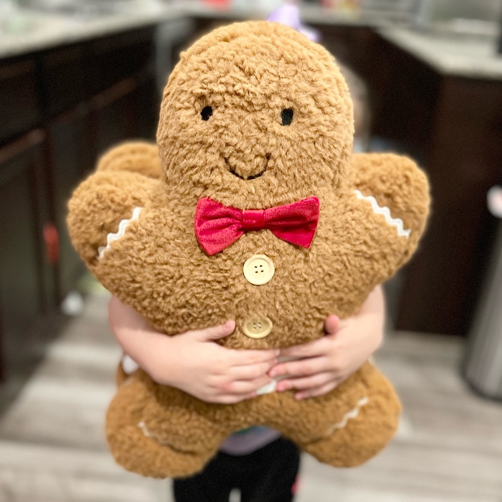 Set of 2 Gingerbread Pillows - Cupcakes & Cashmere Christmas NWT